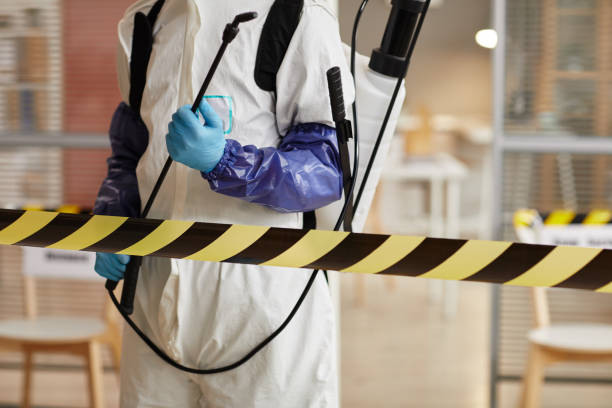 Professional Sewage Cleanup technician working in Kings Park, VA